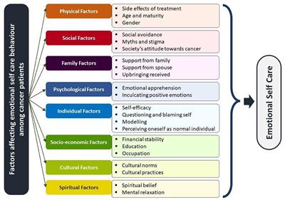 Emotional Self-Care: Exploring the Influencing Factors Among Individuals With Cancer